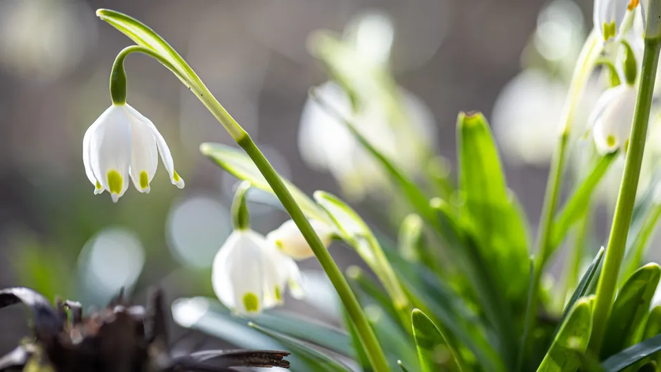 Фото: freepik.com