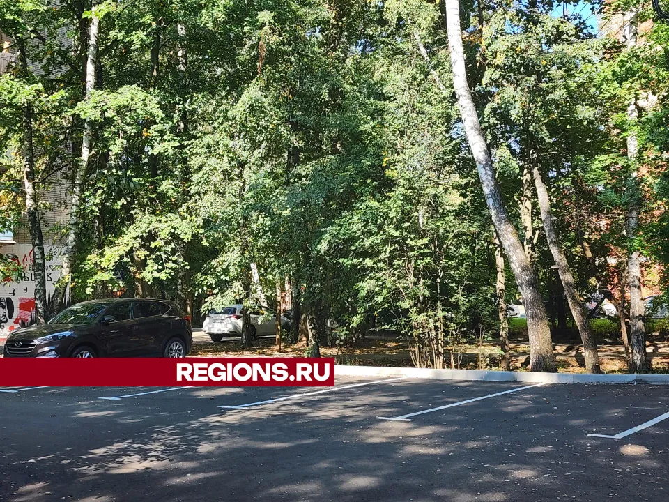 Фото: Роман Савельев&nbsp;