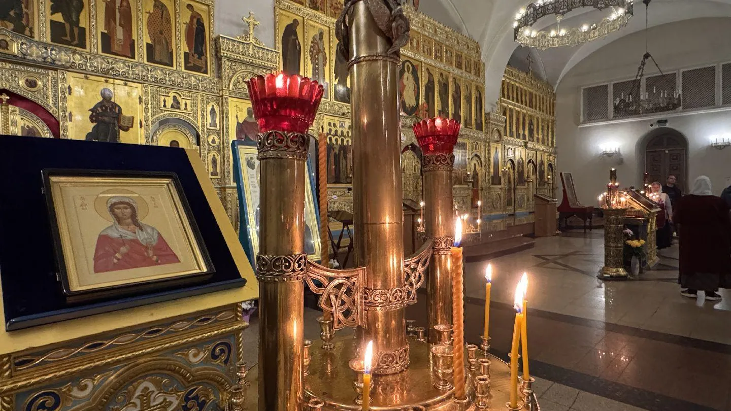 МедиаБанк Подмосковья/Мария Шматкова