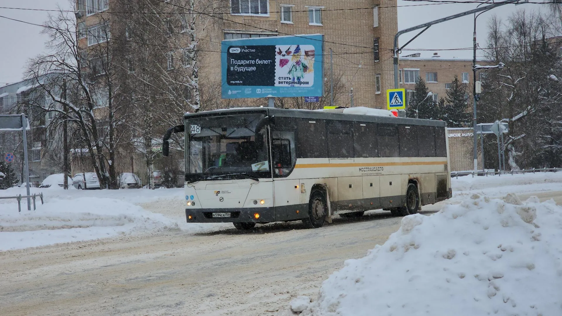 МедиаБанк Подмосковья/Екатерина Данилина