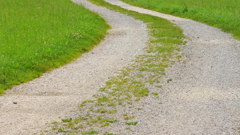 Фото: pxhere.com