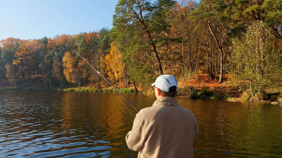 Фото: istockphoto.com/Marek Trawczynski