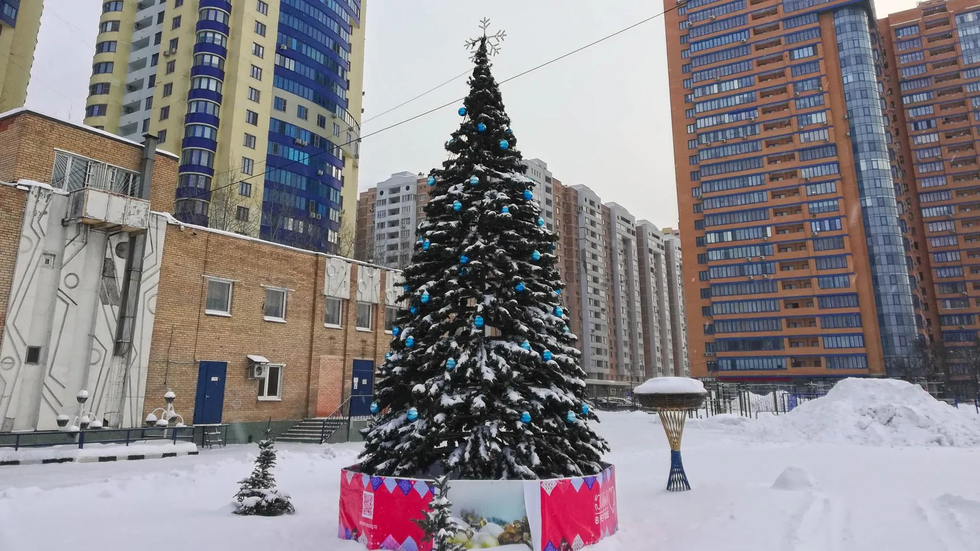 Фото: Дмитрий Кравцов