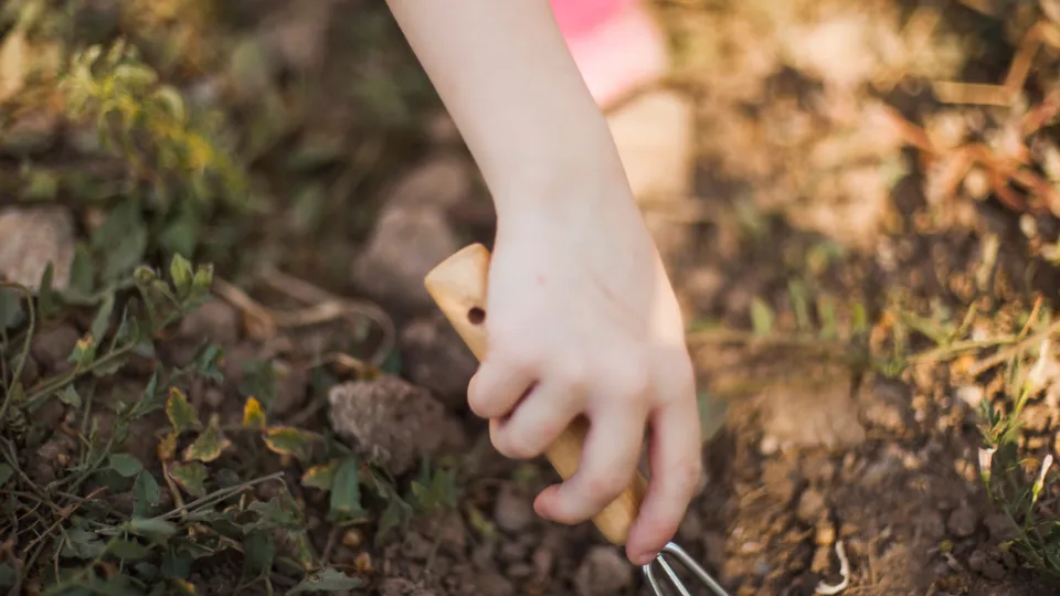 Фото: freepik.com