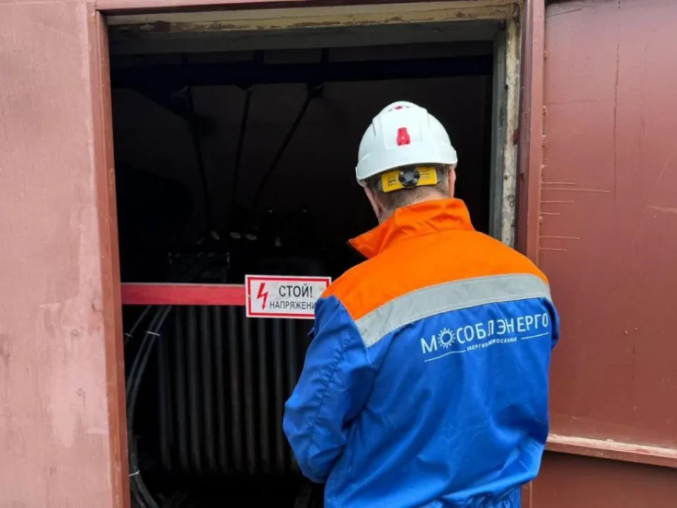Фото: «Мособлэнерго»