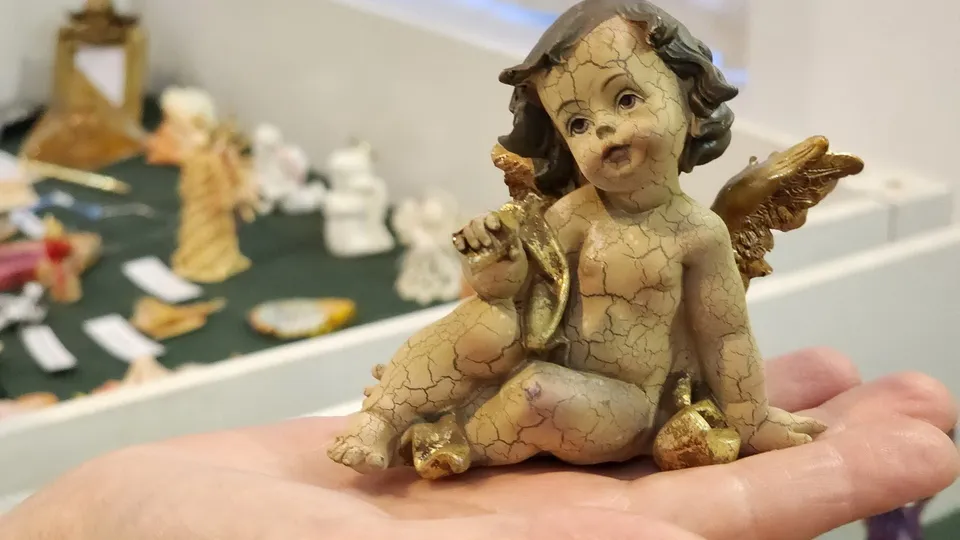 Фото: МедиаБанк Подмосковья/Ксения Пашуто