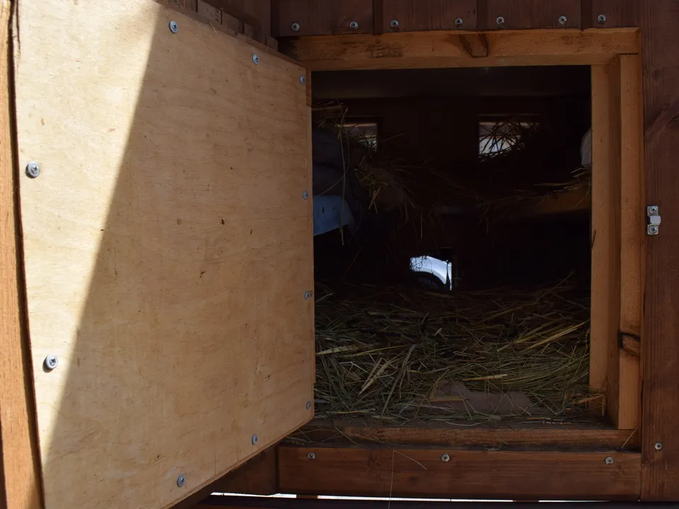 Фото: REGIONS/Александра Никитина