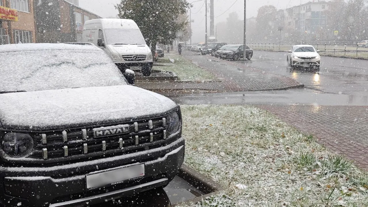 Фото: REGIONS/Алексей Селиверстов