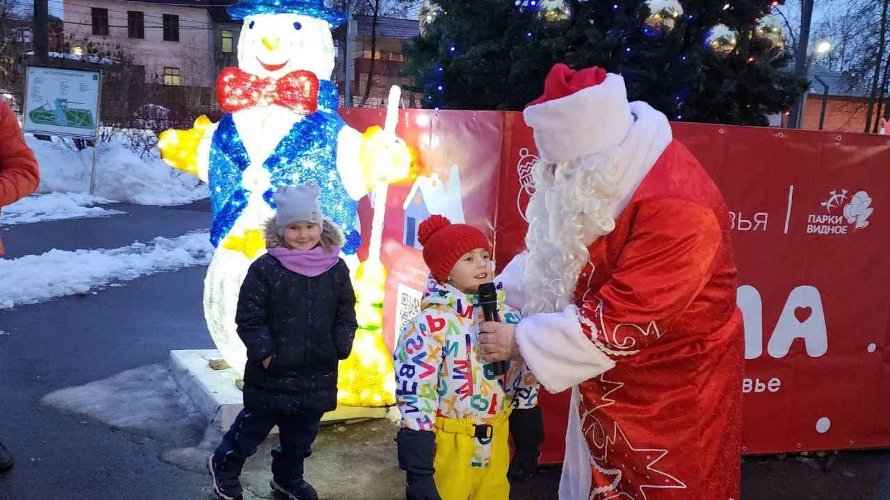 Мария Амелина