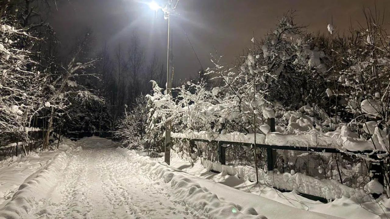 REGIONS/Анастасия Малышенко