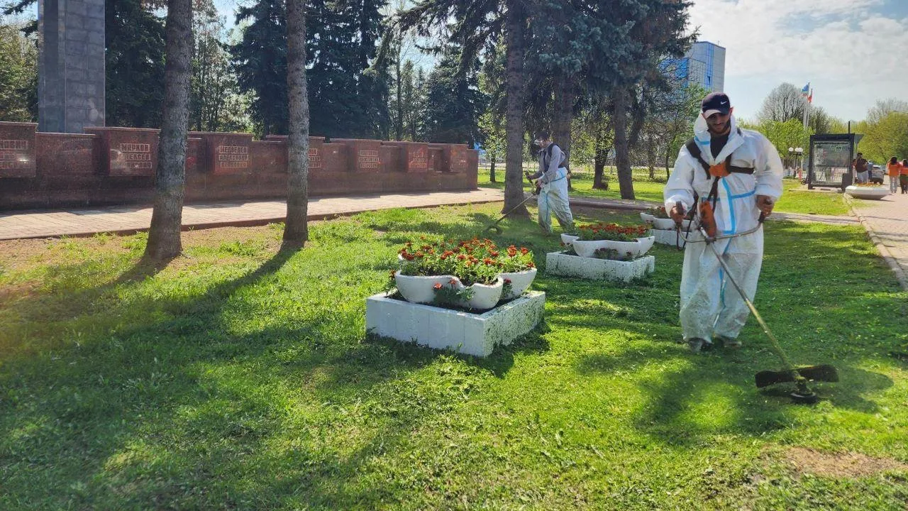 Картинка