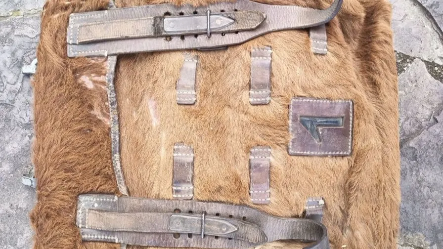 Фото: городская доска объявлений