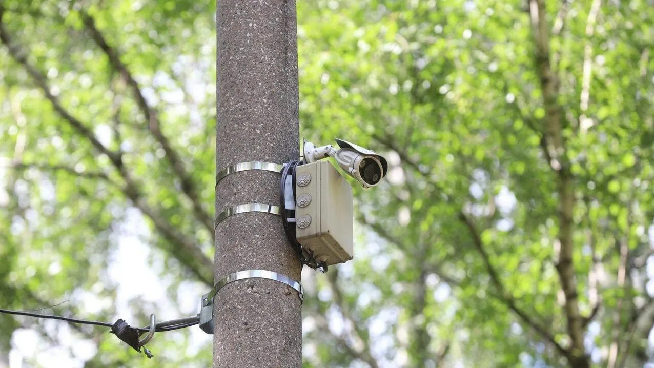 Фото: Пресс-служба Минсельхозпрода МО