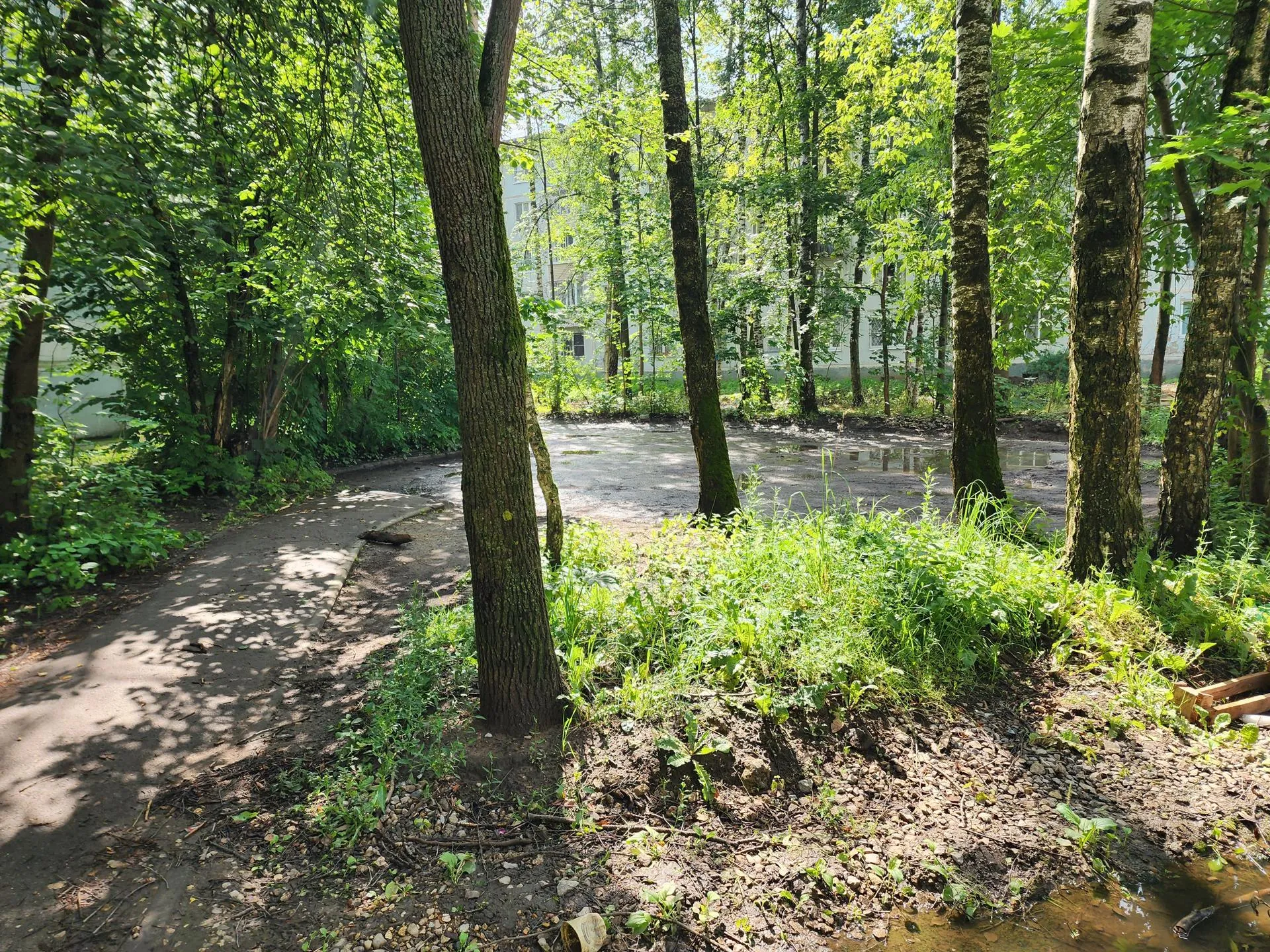 Фото: Евгения Герасимова&nbsp;