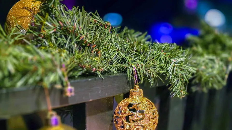 Фото: REGIONS/Елена Никольская