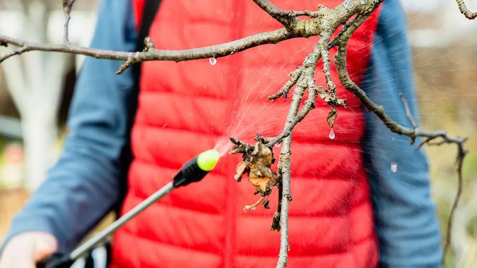 istockphoto.com/EyeEm Mobile GmbH