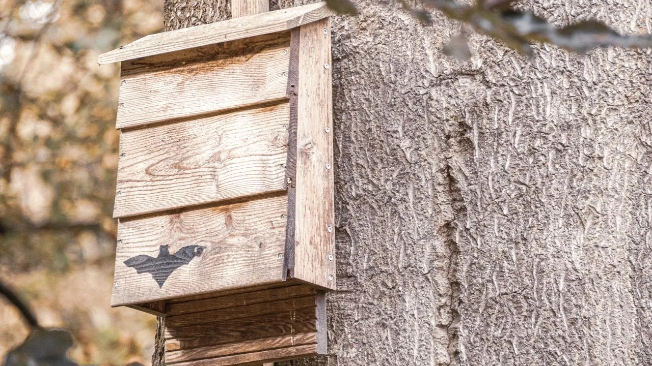 istockphoto.com/undefined undefined