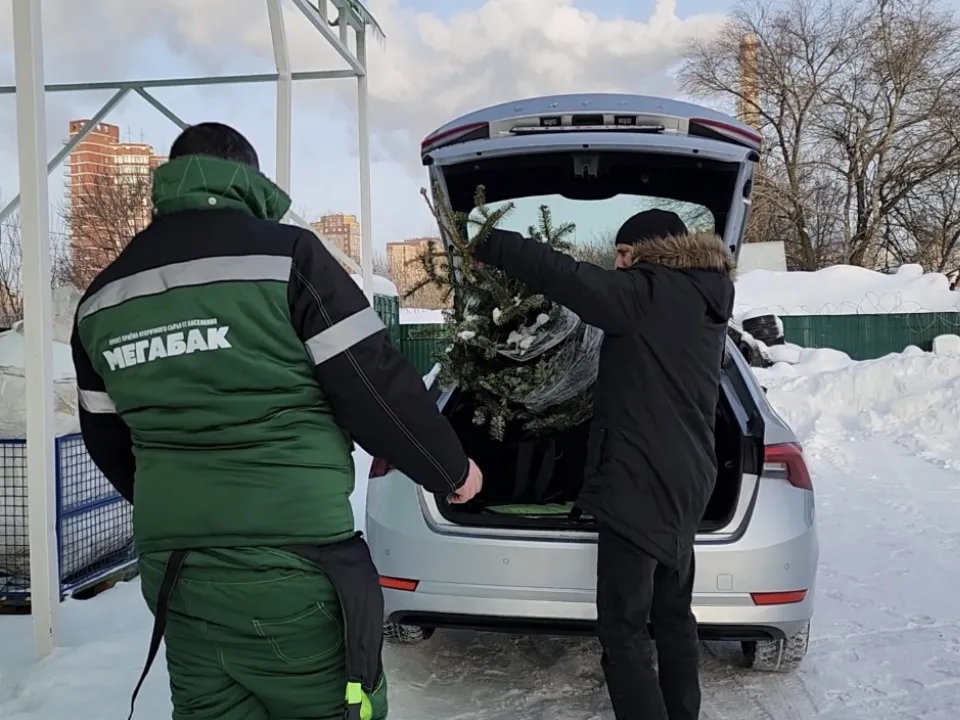 Фото: МедиаБанк Подмосковья/Валерия Ерофеева&nbsp;