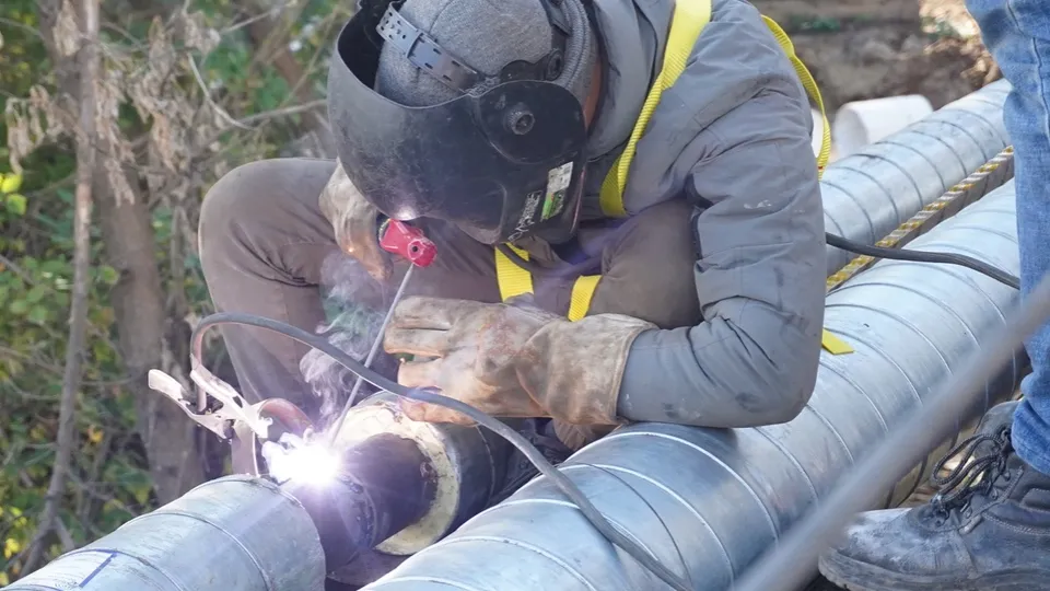 Фото: МедиаБанк Подмосковья/Алена Притула