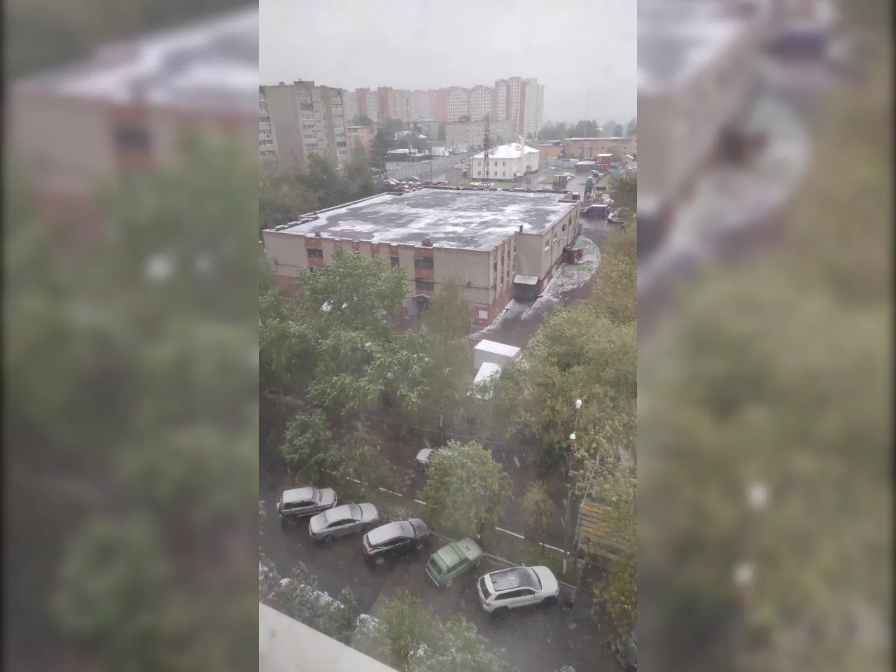 Фото: t.me/domodedovolive