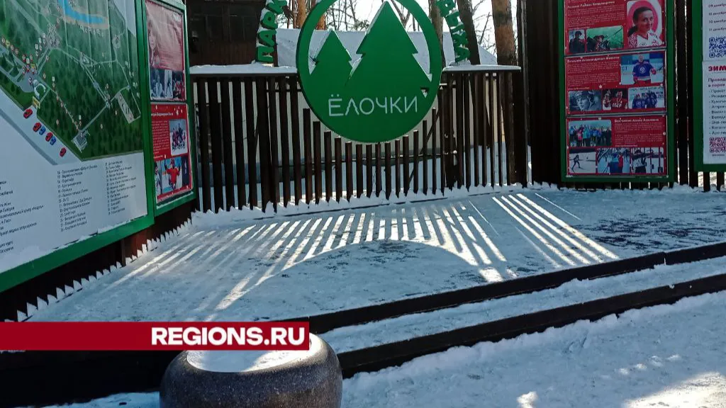 Медиа: Елена Григорьева