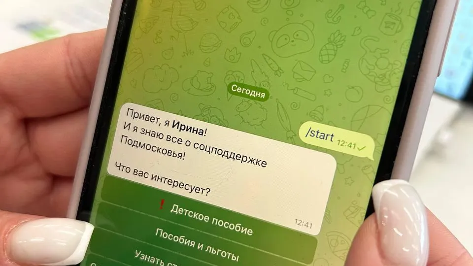 Свыше четырехсот тысяч раз в Подмосковье воспользовались телеграм-ботом по вопросам льгот и выплат