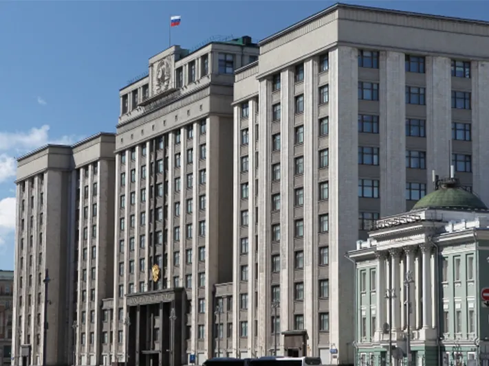 «Сажать за лайки»: депутаты ГД и Мизулина спорят о новом законопроекте