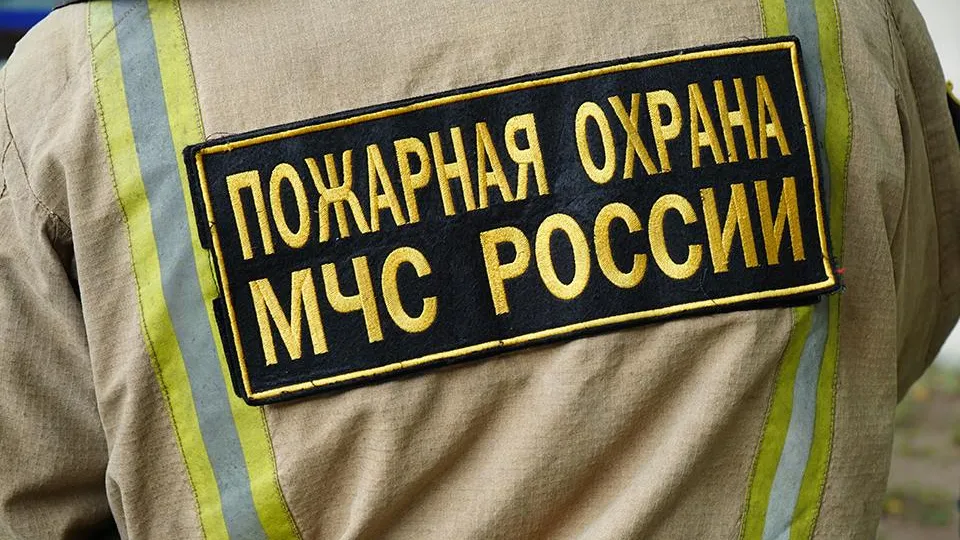 Фото: REGIONS/Анна Быкова