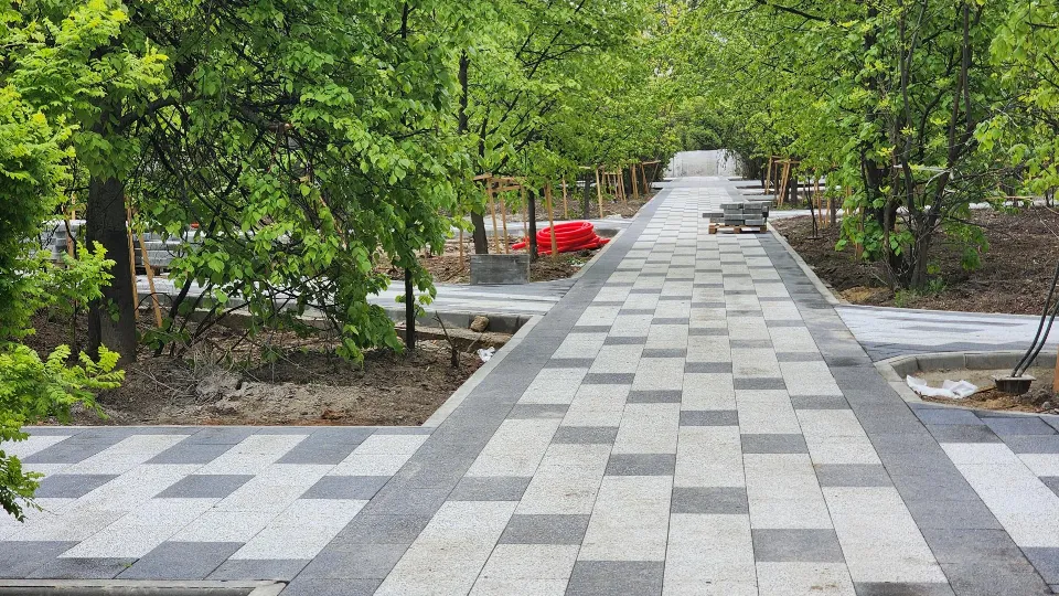 Фото: Роман Савельев