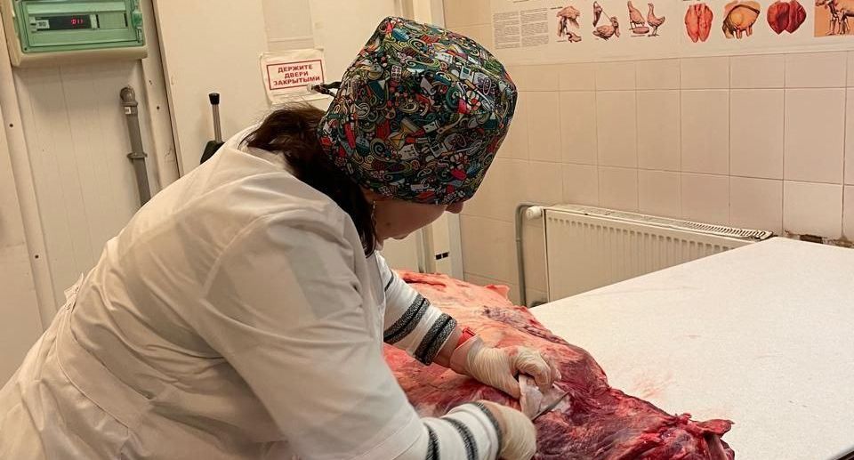 Качество говядины проверили на подмосковных рынках и ярмарках