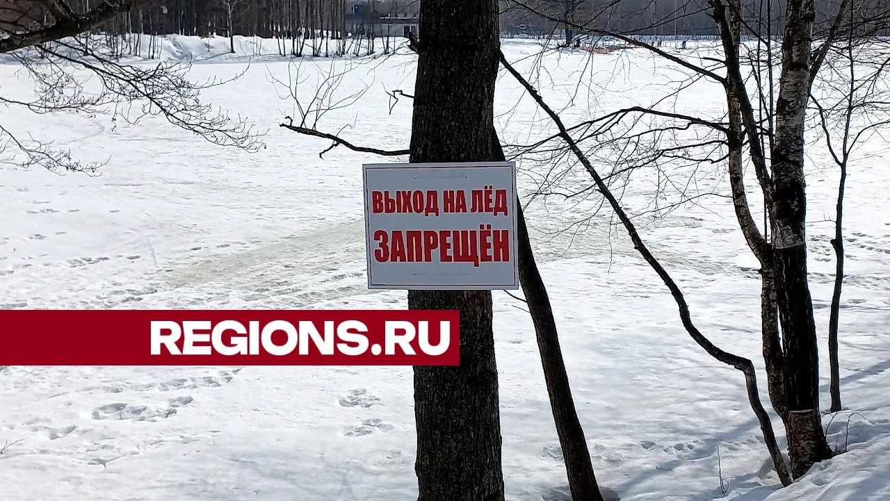 Фото: Олег Книжник