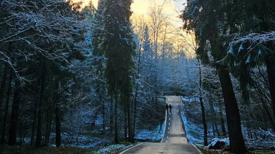 Фото: пресс-служба администрации МБУК «ОПКСИО»