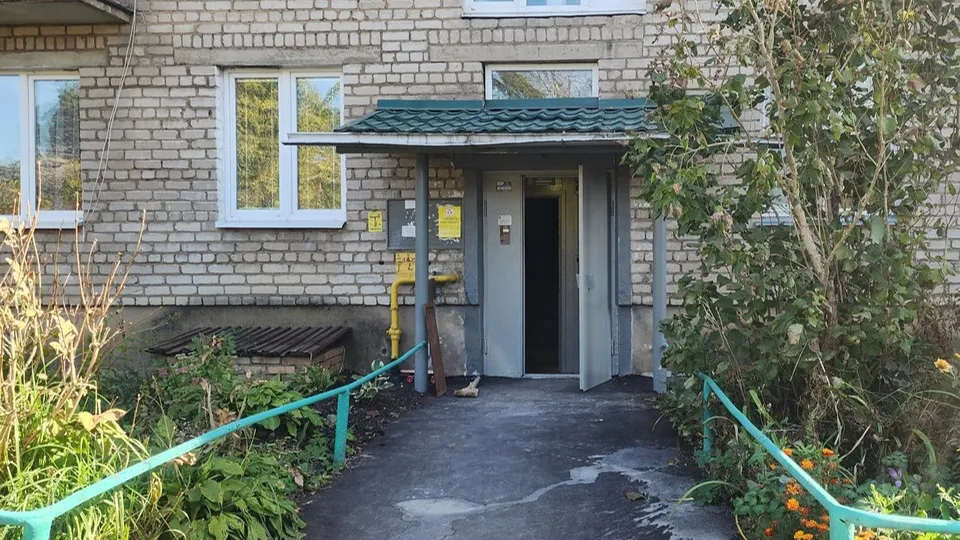 Фото: Хавива Фонина