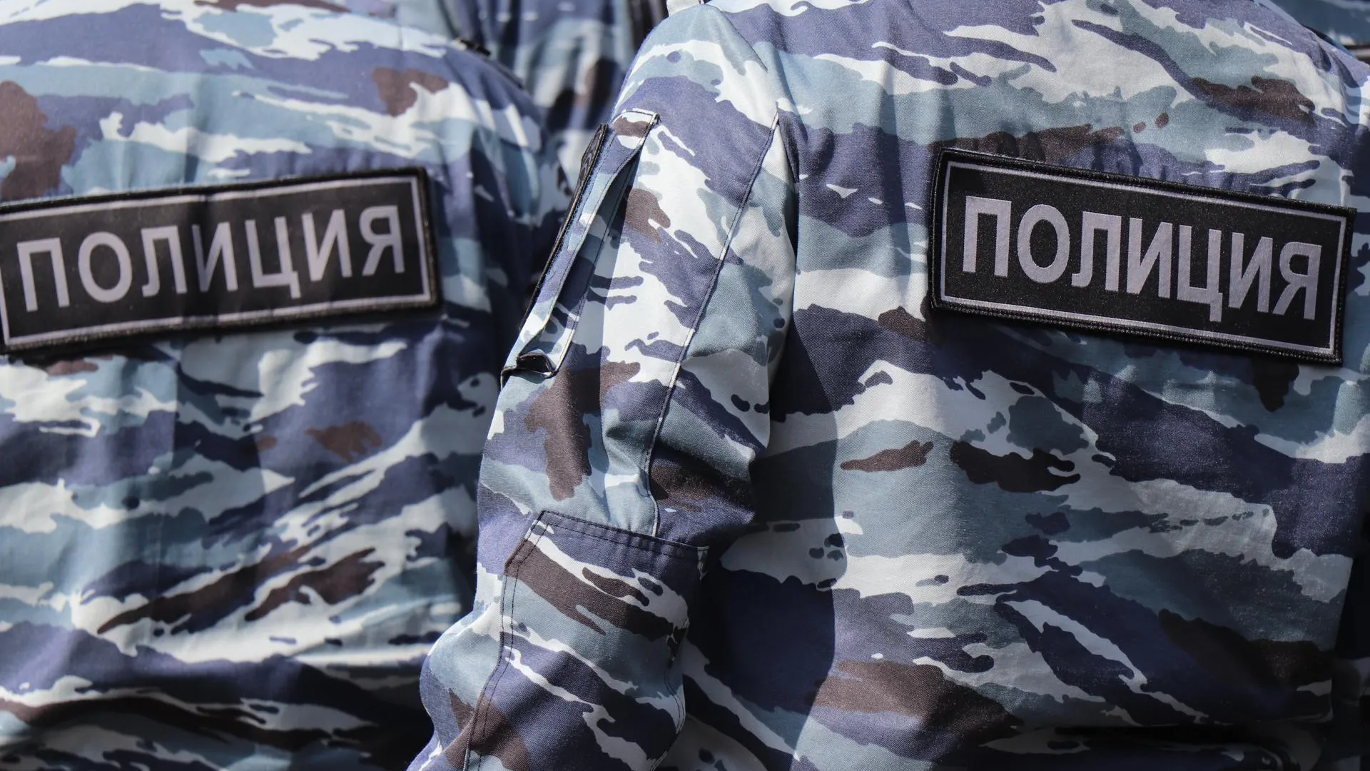 Фото: Василий Тремасов