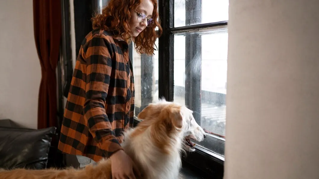 Фото: freepik.com