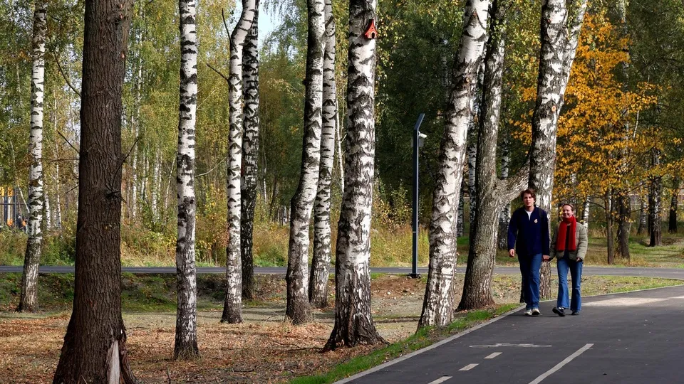 Фото: администрация г.о. Павловский Посад