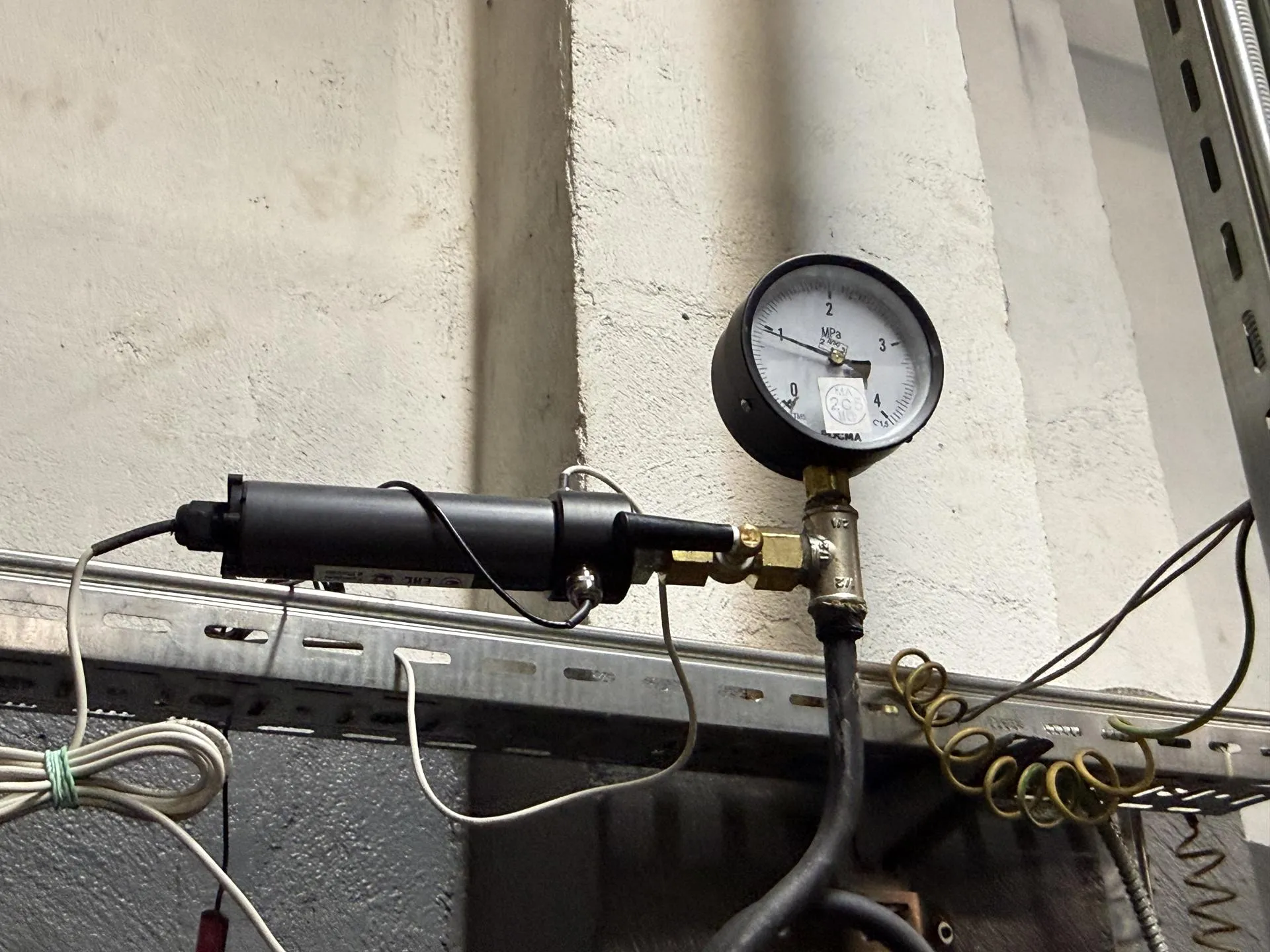 Фото: МедиаБанк Подмосковья/Анна Дука