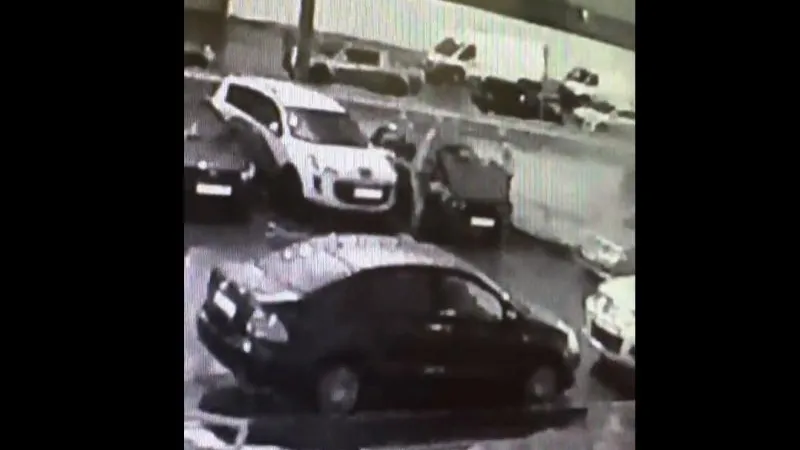 Воришки аккумуляторов из машин в Люберцах попались на видеокамеру