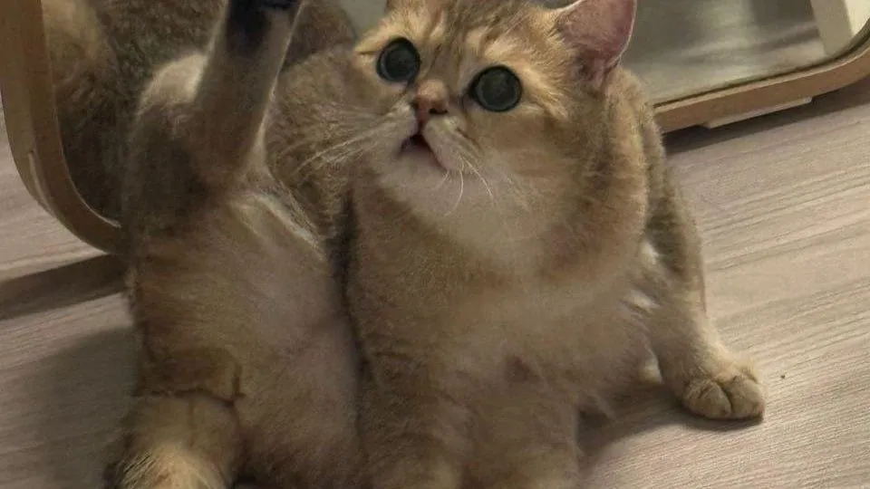 Фото: ГК «Гранель»