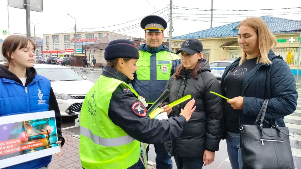 Фото: Госавтоинспекция УМВД России по г. о. Домодедово