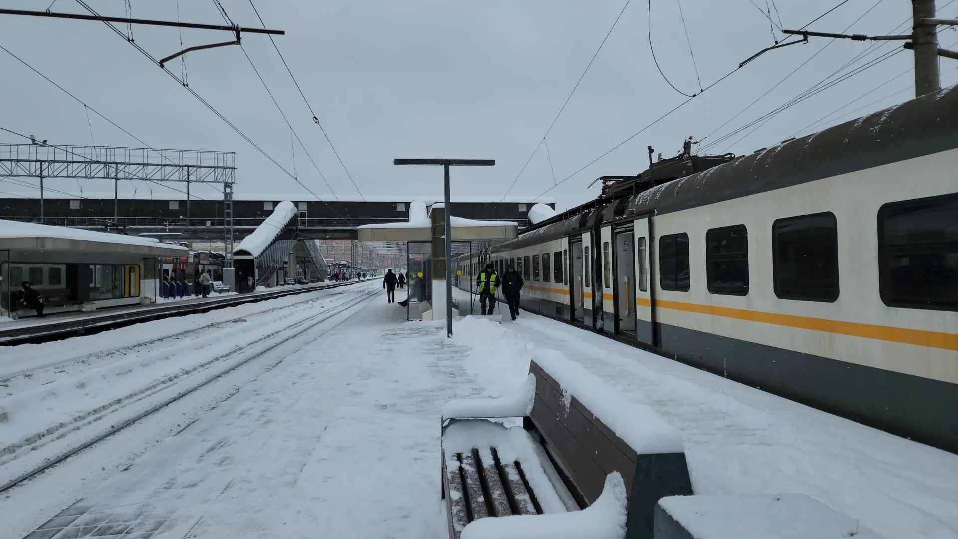 МедиаБанк Подмосковья/Екатерина Федосеева