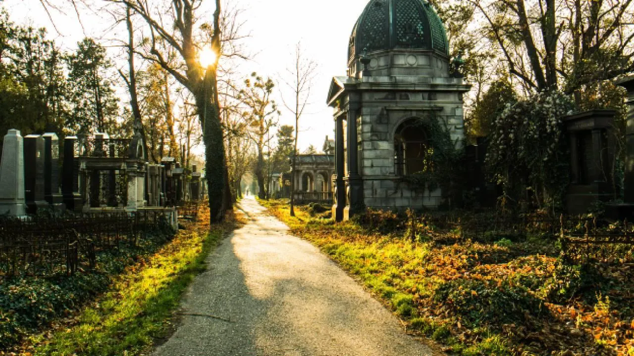 В Омске второй раз одобрили проект строительства кладбища
