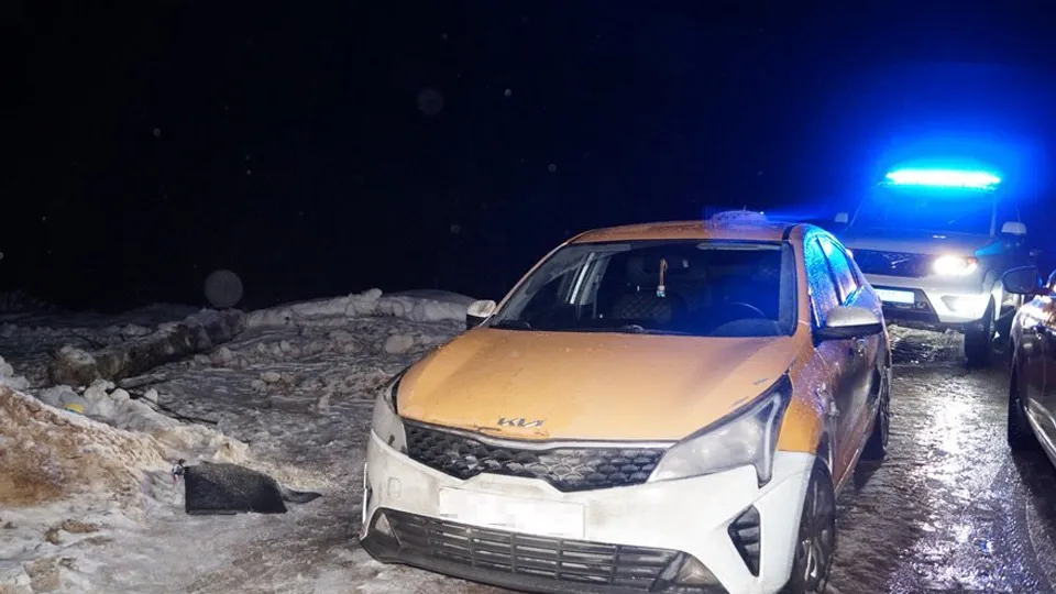 Фото: пресс-служба ГУ МВД России по Московской области