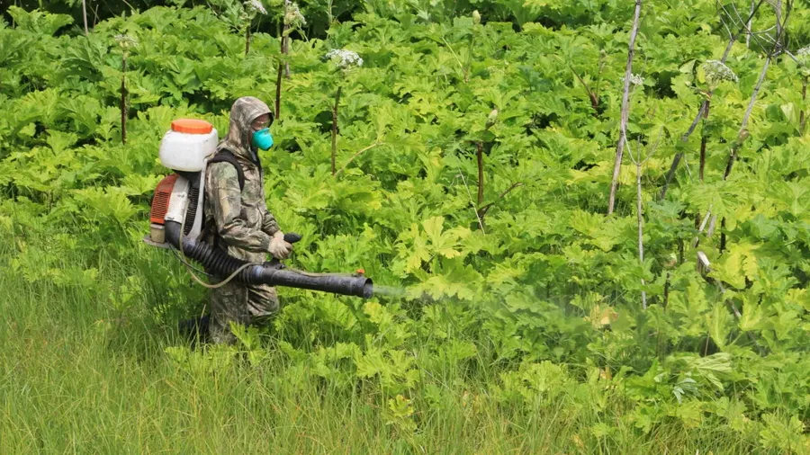 Источник: пресс-служба администрации Одинцовского округа