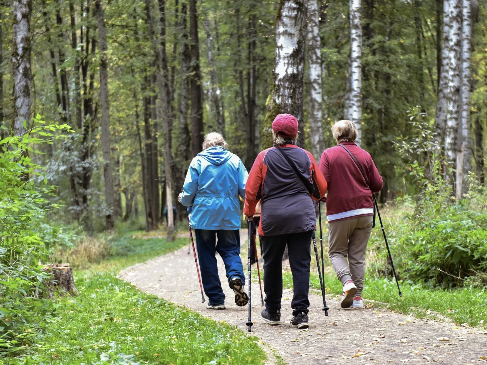 Фото: пресс-служба администрации г.о. Химки
