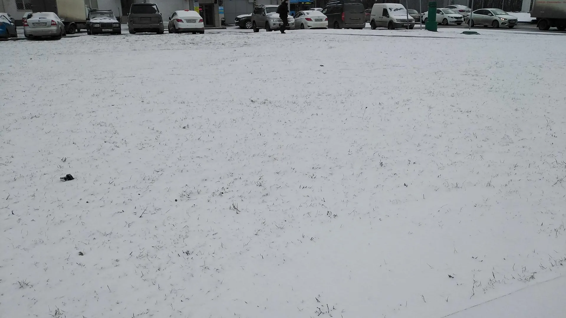 Фото: Василий Тремасов