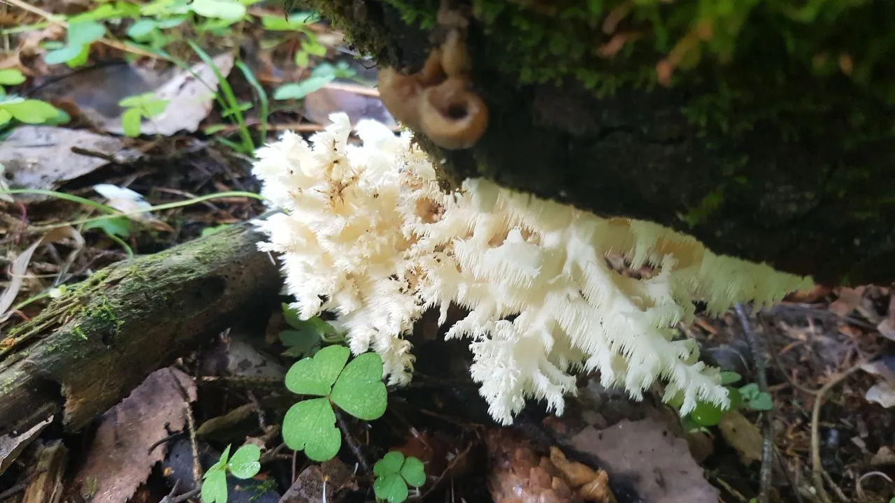 Фото: Ульянов А.И., Монахова А.