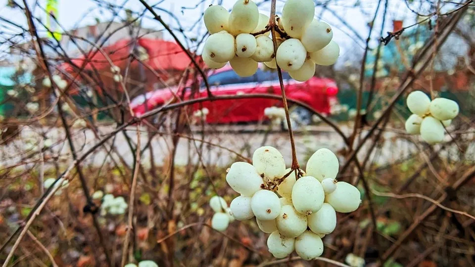 Фото: REGIONS/Алексей Селиверстов