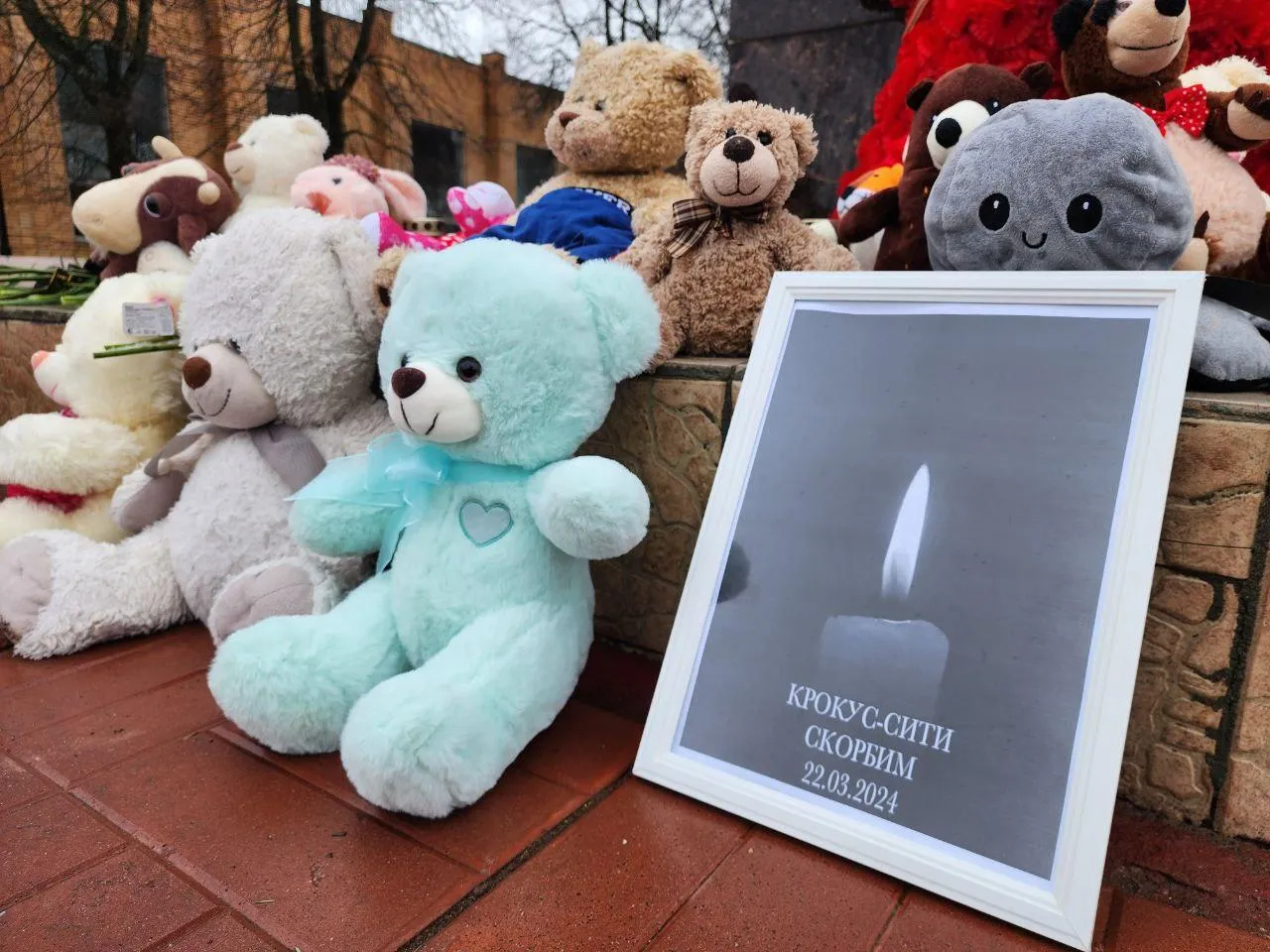 Автор фото: Яна Шаливская&nbsp;