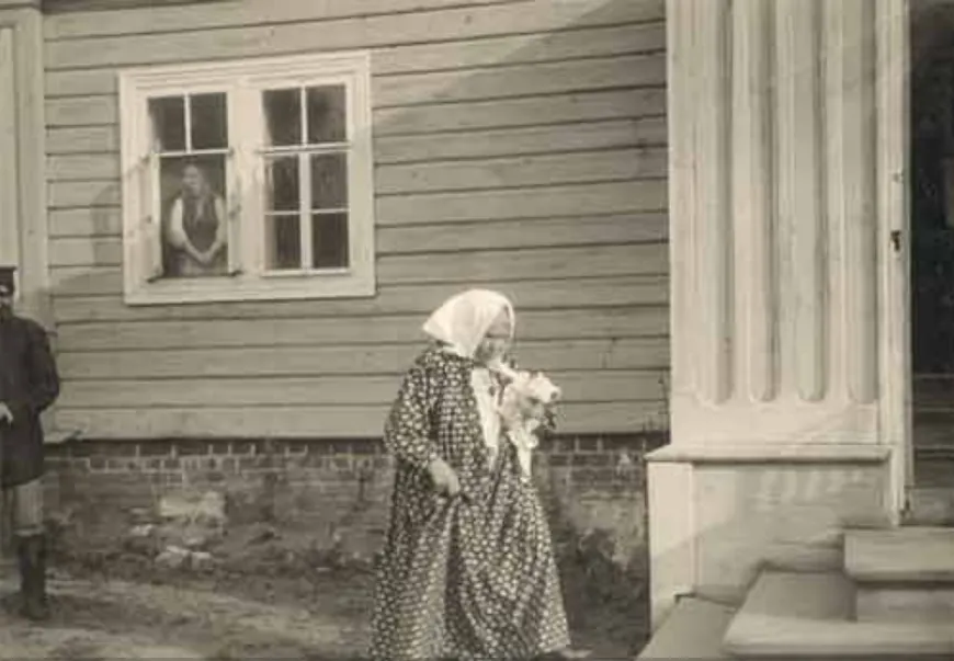 Общественное достояние